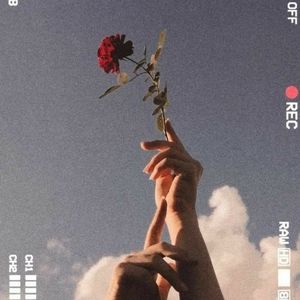 Meet your Posher, Maya